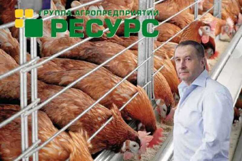 Агрорейдерство экс-губернатора Александра Ткачева: структуры олигарха банкротят ГАП «Ресурс» ради захвата земель на миллиарды